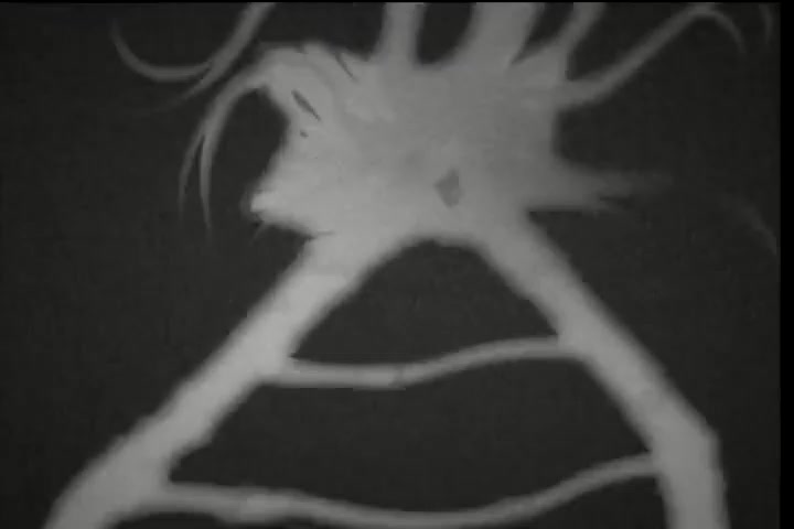 [Tsukyio Editing Resources] Hellsing (Episode 10) Raw Clips (203) (tsukyio.com).mp4